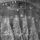 Image: Danielle Dufault/Jean-Bernard Caron et al., 2017